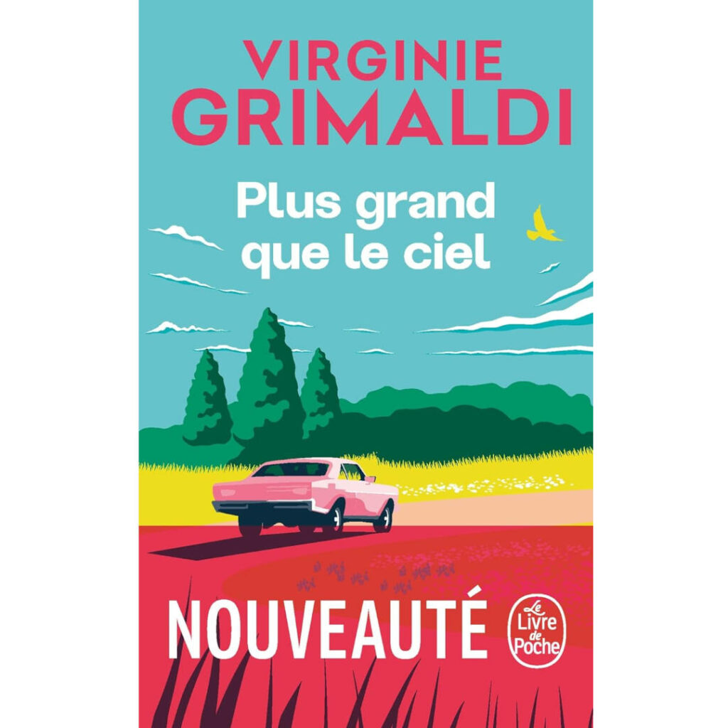 Plus grand que le ciel de Virginie Grimaldi