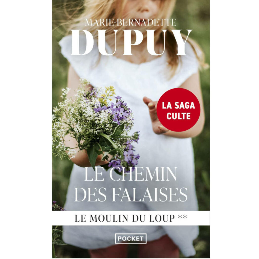 Le chemin des falaises de Marie-Bernadette Dupuy