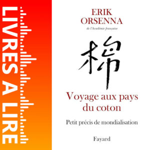 Voyage aux pays du coton de Erik Orsenna