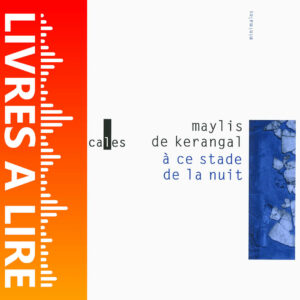 À ce stade de la nuit de Maylis DE KERANGAL