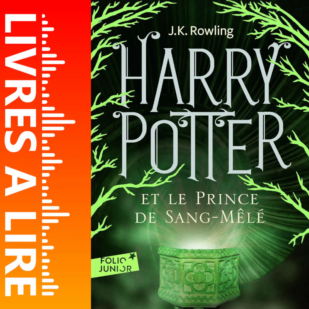 Harry Potter et le Prince de Sang-Mêlé (Tome 6) de J.K. Rowling