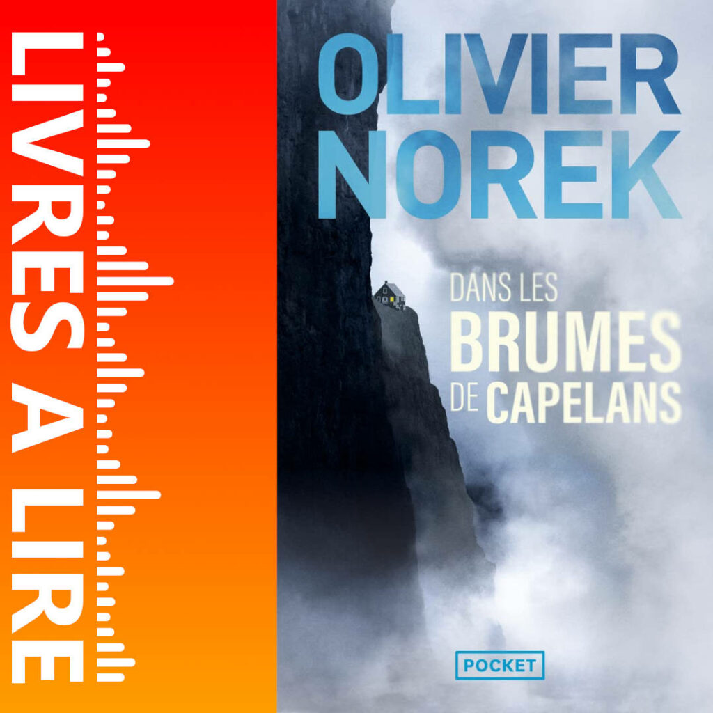 Dans les brumes de Capelans de Olivier NOREK
