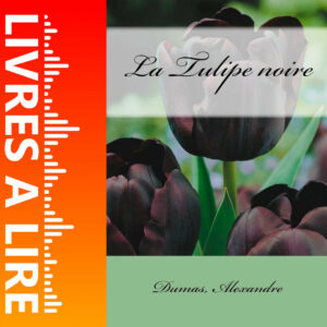La Tulipe noire