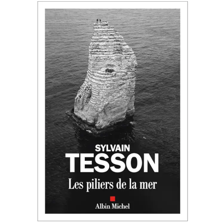 Les Piliers de la mer de Sylvain Tesson