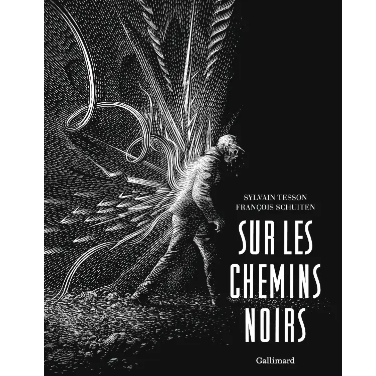 Sur les chemins noirs de Sylvain Tesson