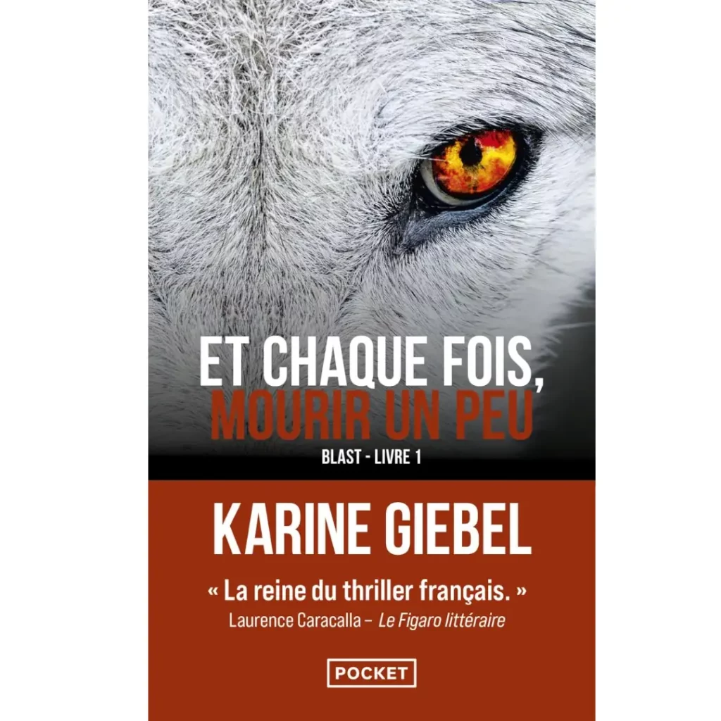 Et chaque fois mourir un peu de Karine Giebel